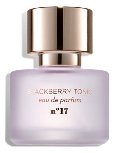 blackberry tonic perfume dupe|I tried Target's $20 designer perfume dupes .